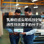 乳腺癌或头颈癌放射敏感性预测因子的分子分析(图2) 乳腺癌或头颈癌放射敏感性预测因子的分子分析(图2)