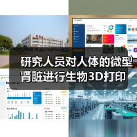 研究人员对人体的微型肾脏进行生物3D打印(图1) 研究人员对人体的微型肾脏进行生物3D打印(图1)