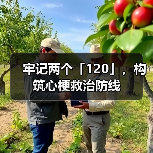 牢记两个「120」,构筑心梗救治防线(图2) 牢记两个「120」,构筑心梗救治防线(图2)