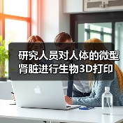 研究人员对人体的微型肾脏进行生物3D打印(图2) 研究人员对人体的微型肾脏进行生物3D打印(图2)