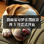 首座宝可梦乐园官宣 2 月 5 日正式开业(图2) 首座宝可梦乐园官宣 2 月 5 日正式开业(图2)