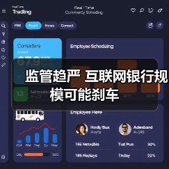 监管趋严 互联网银行规模可能刹车(图4) 监管趋严 互联网银行规模可能刹车(图4)