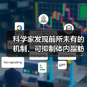 科学家发现前所未有的机制,可抑制体内脂肪合成的过程(图2) 科学家发现前所未有的机制,可抑制体内脂肪合成的过程(图2)