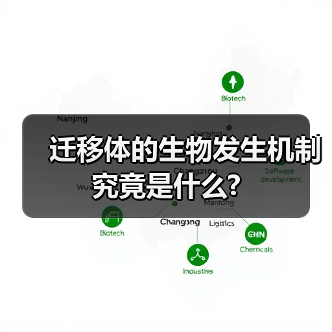 迁移体的生物发生机制究竟是什么?(图3) 迁移体的生物发生机制究竟是什么?(图3)
