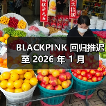 BLACKPINK 回归推迟至 2026 年 1 月