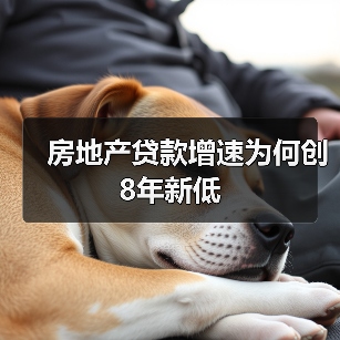 房地产贷款增速为何创8年新低(图4) 房地产贷款增速为何创8年新低(图4)