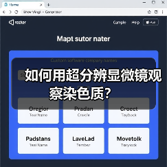如何用超分辨显微镜观察染色质?(图3) 如何用超分辨显微镜观察染色质?(图3)
