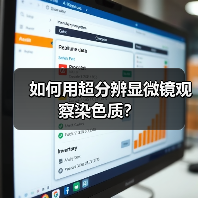 如何用超分辨显微镜观察染色质?(图4) 如何用超分辨显微镜观察染色质?(图4)