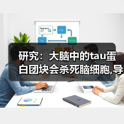 研究:大脑中的tau蛋白团块会杀死脑细胞,导致阿尔茨海默病(图3) 研究:大脑中的tau蛋白团块会杀死脑细胞,导致阿尔茨海默病(图3)