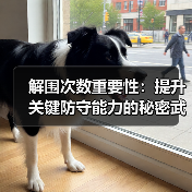 解围次数重要性:提升关键防守能力的秘密武器(图3) 解围次数重要性:提升关键防守能力的秘密武器(图3)