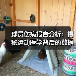 球员伤病报告分析:揭秘运动医学背后的数据秘密(图2) 球员伤病报告分析:揭秘运动医学背后的数据秘密(图2)