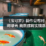 《宝可梦》新作公布时间曝光 画质或将实现质的飞跃(图3) 《宝可梦》新作公布时间曝光 画质或将实现质的飞跃(图3)