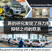 新的研究发现了压力和抑郁之间的联系(图2) 新的研究发现了压力和抑郁之间的联系(图2)