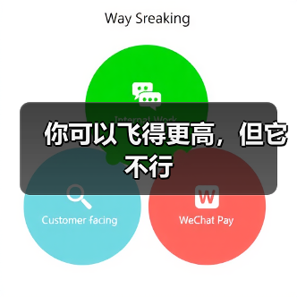 你可以飞得更高，但它不行