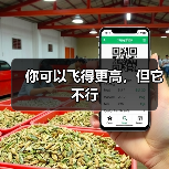 你可以飞得更高,但它不行(图4) 你可以飞得更高,但它不行(图4)