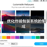 优化终端包装系统的集成(图4) 优化终端包装系统的集成(图4)
