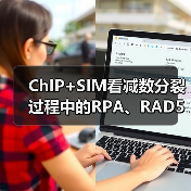 ChIP+SIM看减数分裂过程中的RPA、RAD51、DMC1(图4) ChIP+SIM看减数分裂过程中的RPA、RAD51、DMC1(图4)