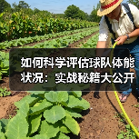 如何科学评估球队体能状况:实战秘籍大公开(图2) 如何科学评估球队体能状况:实战秘籍大公开(图2)