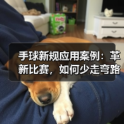 手球新规应用案例：革新比赛，如何少走弯路？