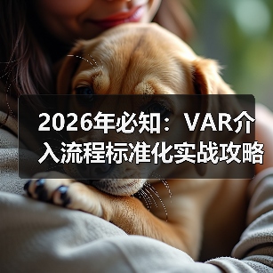 2026年必知：VAR介入流程标准化实战攻略揭秘