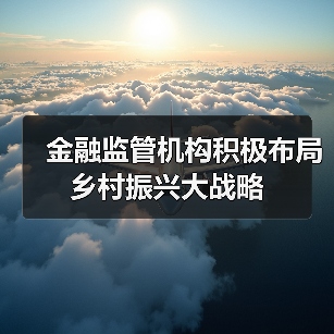 金融监管机构积极布局乡村振兴大战略(图4) 金融监管机构积极布局乡村振兴大战略(图4)