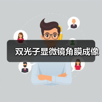 双光子显微镜角膜成像（图4）