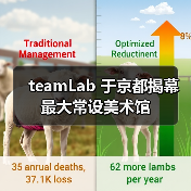 teamLab 于京都揭幕最大常设美术馆(图4) teamLab 于京都揭幕最大常设美术馆(图4)