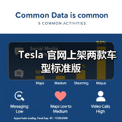 Tesla 官网上架两款车型标准版（图2）