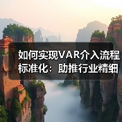 如何实现VAR介入流程标准化:助推行业精细化管理(图2) 如何实现VAR介入流程标准化:助推行业精细化管理(图2)
