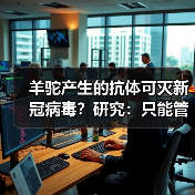 羊驼产生的抗体可灭新冠病毒?研究:只能管一两个月(图3) 羊驼产生的抗体可灭新冠病毒?研究:只能管一两个月(图3)