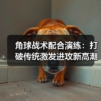 角球战术配合演练:打破传统激发进攻新高潮(图2) 角球战术配合演练:打破传统激发进攻新高潮(图2)