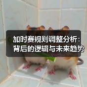 加时赛规则调整分析:背后的逻辑与未来趋势(图4) 加时赛规则调整分析:背后的逻辑与未来趋势(图4)
