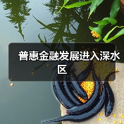 普惠金融发展进入深水区(图2) 普惠金融发展进入深水区(图2)