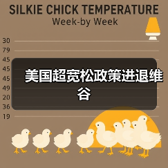 美国超宽松政策进退维谷