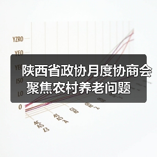 陕西省政协月度协商会聚焦农村养老问题(图3) 陕西省政协月度协商会聚焦农村养老问题(图3)