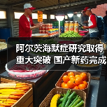 阿尔茨海默症研究取得重大突破 国产新药完成临床3期试验(图1) 阿尔茨海默症研究取得重大突破 国产新药完成临床3期试验(图1)