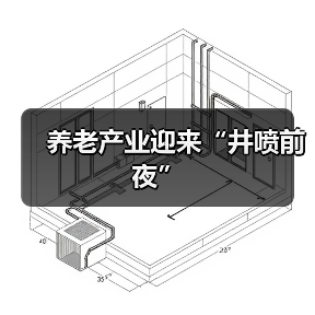养老产业迎来“井喷前夜”(图4) 养老产业迎来“井喷前夜”(图4)