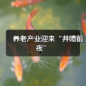 养老产业迎来“井喷前夜”