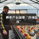 养老产业迎来“井喷前夜”(图3) 养老产业迎来“井喷前夜”(图3)