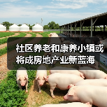 社区养老和康养小镇或将成房地产业新蓝海(图3) 社区养老和康养小镇或将成房地产业新蓝海(图3)