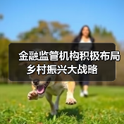 金融监管机构积极布局乡村振兴大战略(图4) 金融监管机构积极布局乡村振兴大战略(图4)