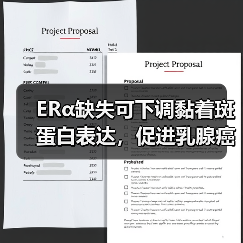 ERα缺失可下调黏着斑蛋白表达,促进乳腺癌细胞变形虫样迁移(图3) ERα缺失可下调黏着斑蛋白表达,促进乳腺癌细胞变形虫样迁移(图3)