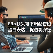 ERα缺失可下调黏着斑蛋白表达,促进乳腺癌细胞变形虫样迁移(图2) ERα缺失可下调黏着斑蛋白表达,促进乳腺癌细胞变形虫样迁移(图2)