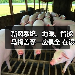新风系统、地暖、智能马桶盖等一应俱全 在设施一流的养老院里也能种菜养花(图3) 新风系统、地暖、智能马桶盖等一应俱全 在设施一流的养老院里也能种菜养花(图3)
