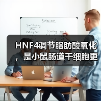 HNF4调节脂肪酸氧化,是小鼠肠道干细胞更新所必需的(图2) HNF4调节脂肪酸氧化,是小鼠肠道干细胞更新所必需的(图2)