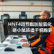 HNF4调节脂肪酸氧化,是小鼠肠道干细胞更新所必需的(图4) HNF4调节脂肪酸氧化,是小鼠肠道干细胞更新所必需的(图4)