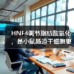 HNF4调节脂肪酸氧化,是小鼠肠道干细胞更新所必需的(图1) HNF4调节脂肪酸氧化,是小鼠肠道干细胞更新所必需的(图1)