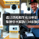 通过结构和生化分析新型糖苷水解酶134家族β-甘露聚糖酶与底物的结合机制(图2) 通过结构和生化分析新型糖苷水解酶134家族β-甘露聚糖酶与底物的结合机制(图2)