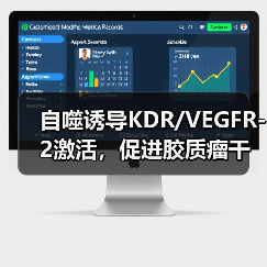 自噬诱导KDR/VEGFR-2激活,促进胶质瘤干细胞血管生成拟态形成(图4) 自噬诱导KDR/VEGFR-2激活,促进胶质瘤干细胞血管生成拟态形成(图4)