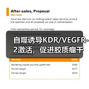 自噬诱导KDR/VEGFR-2激活,促进胶质瘤干细胞血管生成拟态形成(图2) 自噬诱导KDR/VEGFR-2激活,促进胶质瘤干细胞血管生成拟态形成(图2)